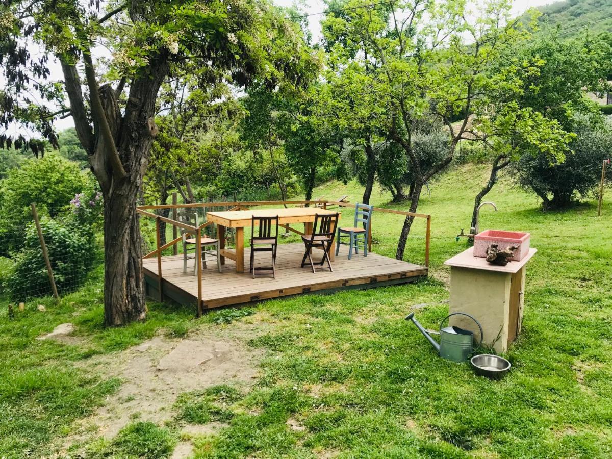 B&B Giuncaia17 Polveraia Exterior foto